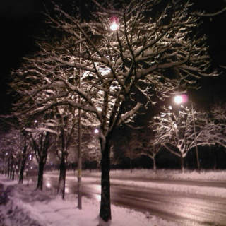 winter night