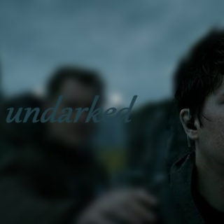 Undarked (Walters/Daniel)