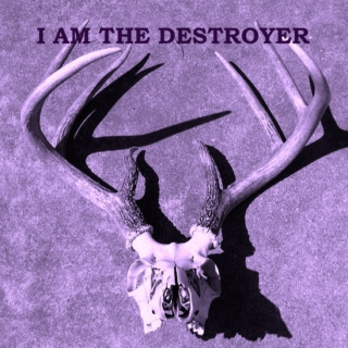 I am the Destroyer