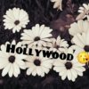 The Hollywood Kids