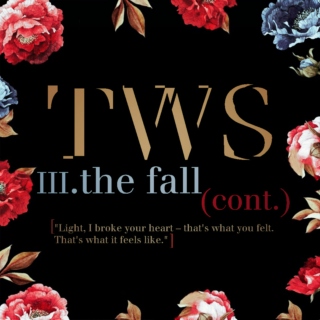 TWS: The Fall cont.