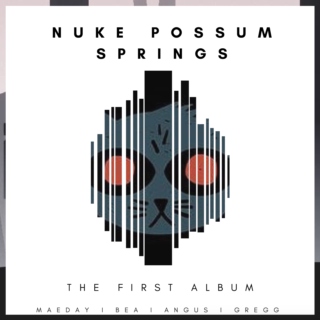 Nuke Possum Springs // The First Album