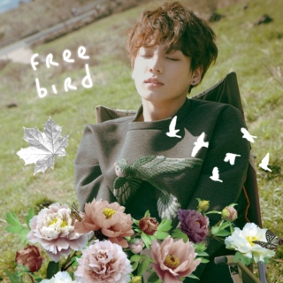 FREE BIRD.