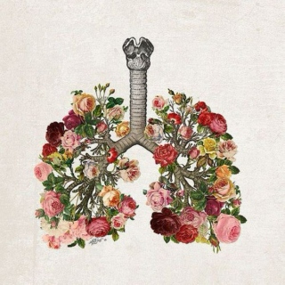 You Made Flowers Grow in My Lungs and Although They are Beautiful I Can't Breathe