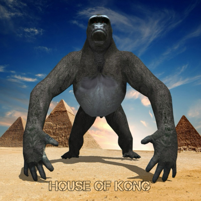 HOUSE OF KONG