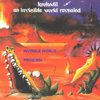 Invisble World