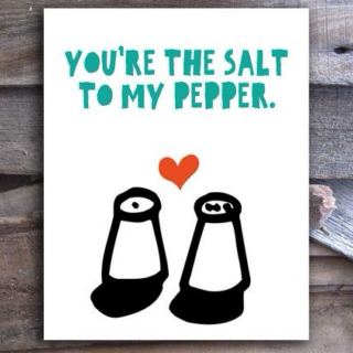 Salt and Pepper - Agents Michigan and Mississippi