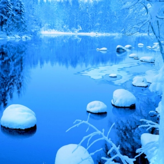 stillness of winter