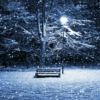 ⌈ one winter's night ⌋