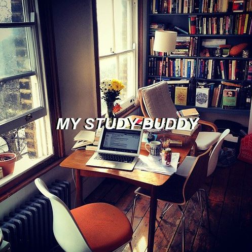 my study buddy