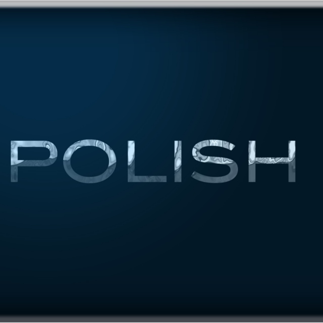 POLISH JANGSTA PRESENTS: - POLISH - The collection so far