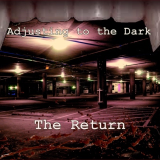 Adjusting to the Dark Part 2: The Return