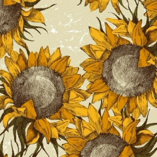 Sunflower Minuet