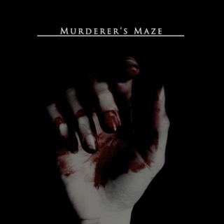 Murderer's Maze II