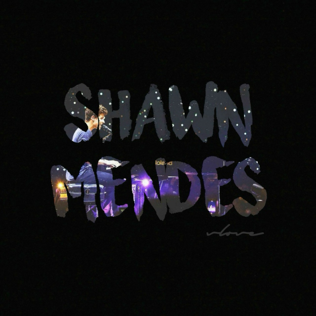 Shawn Mendes (REMIXED)