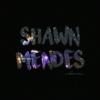 Shawn Mendes (REMIXED)