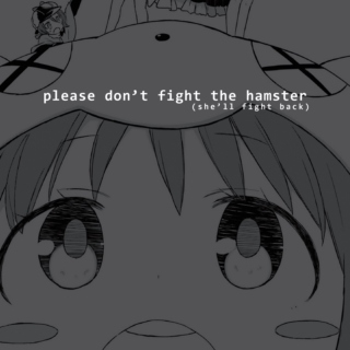 Please Don't Fight the Hamster