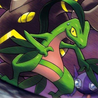 "though the parting hurts... the rest is in your hands" a pmd grovyle playlist