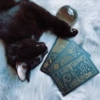 Black Cats and Tarot Cards