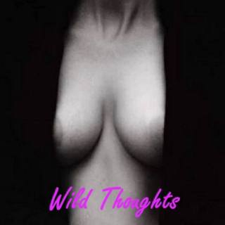 ~ ○  Wild Thoughts  ○ ~