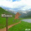 Grizzly - From the Wilderness