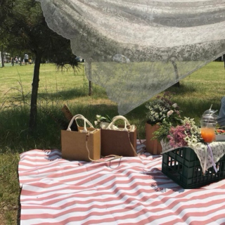 a picnic w/ you
