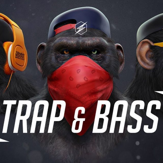 Trap n Bass