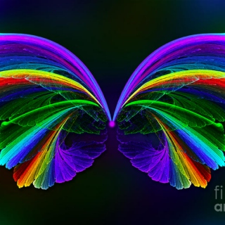 The Papillon Effect
