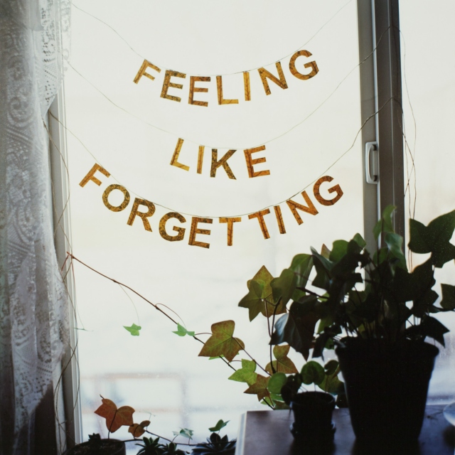 feeling like forgetting