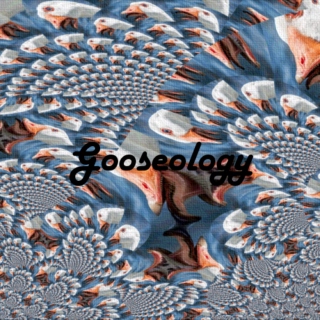 Gooseology
