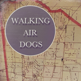 Walking Air Dogs
