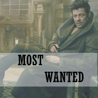 MOST WANTED !