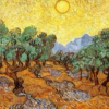 olive trees with yellow sky and sun.