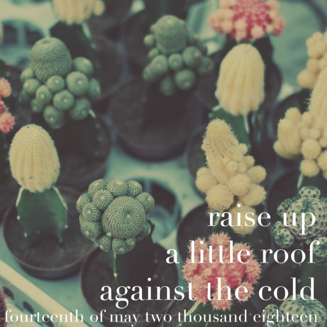 raise up a little roof against the cold - 14 may 2018