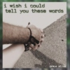 i wish i could tell you these words