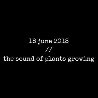 18 june 2018 // the sound of plants growing