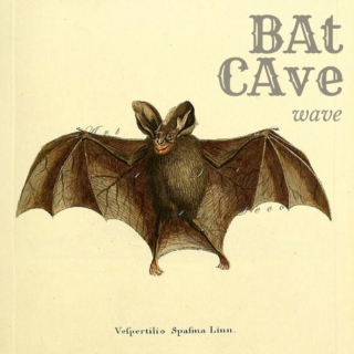 Bat Cave Wave