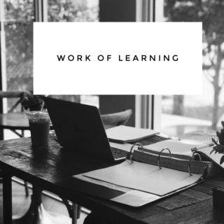 MS1: Work of Learning