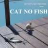 CAT NO FISH
