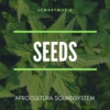 Seeds 