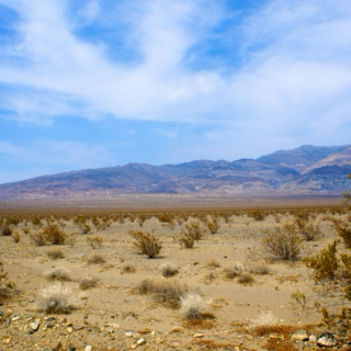 Life in Desolation, Nevada