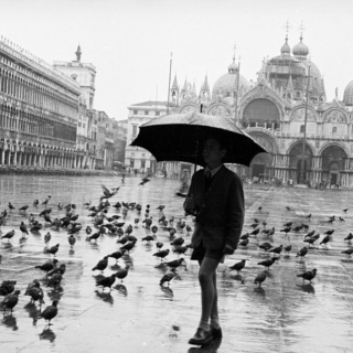 Rainy Boy and his Birds