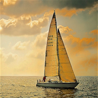 Sailing Alone Around the World ↩