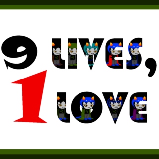 9 Lives 1 Love