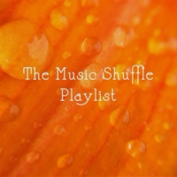 Music Shuffle Playlist