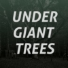 Under Giant Trees: a mix for woodland driving