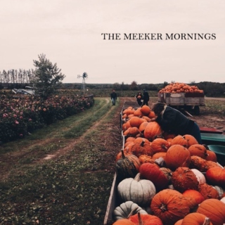 the meeker mornings