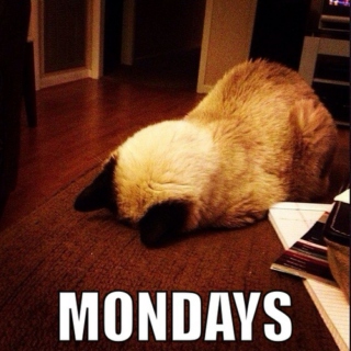 God damn Mondays
