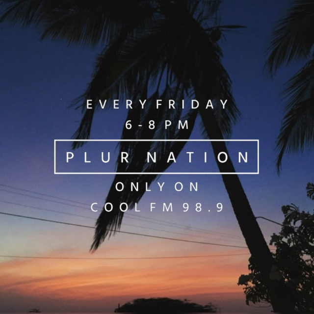 PLUR Nation - Fall Selection by MARC ERA