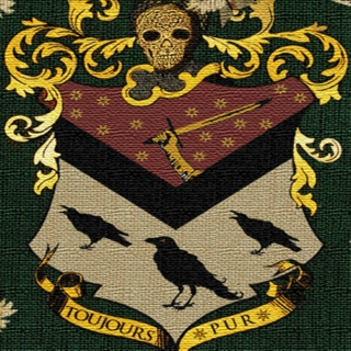 The Noble and Most Ancient House of Black